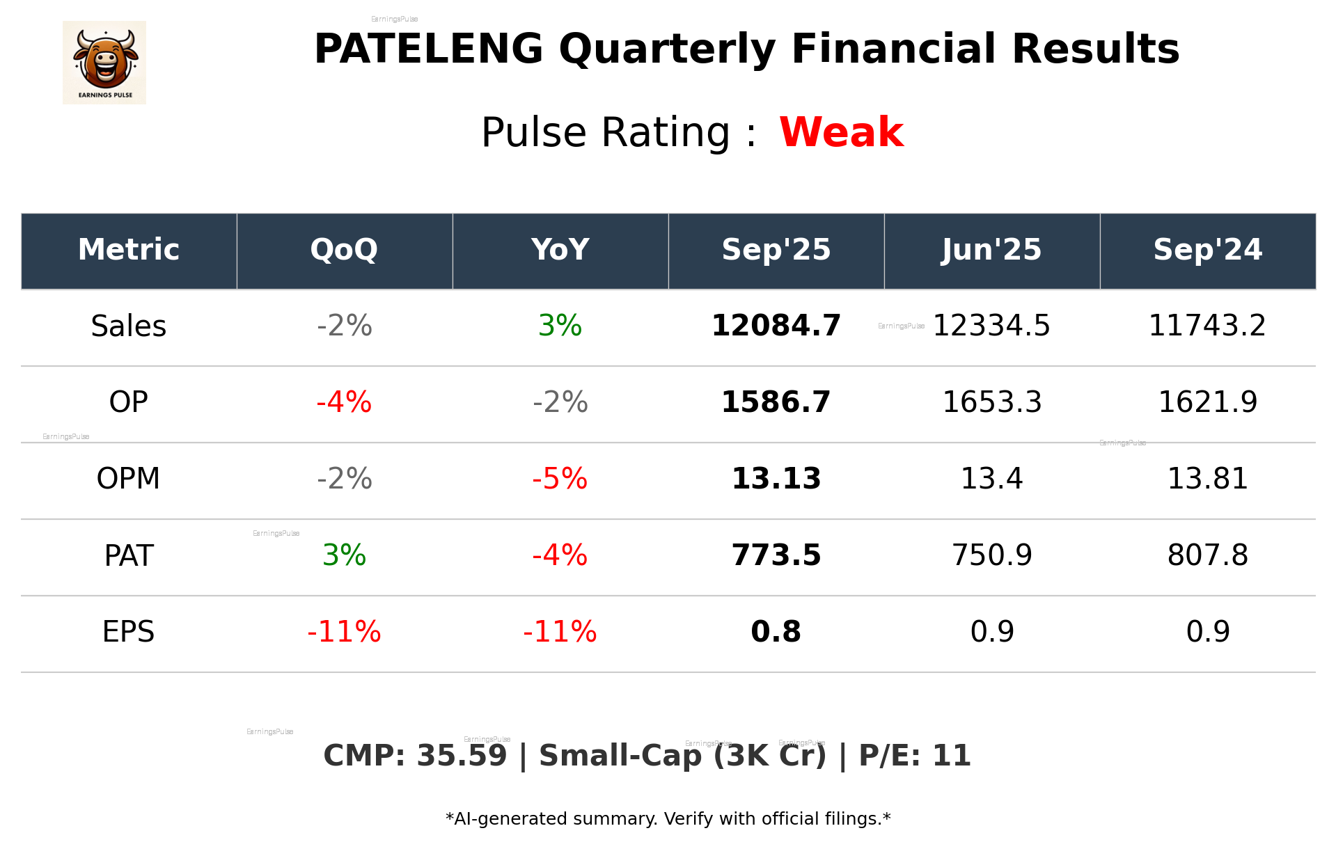 PATELENG Q2 2026 earnings summary