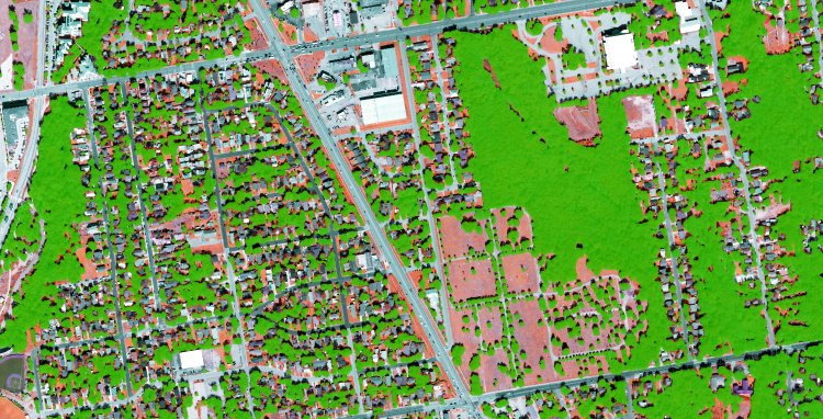 Tree Map juxtapose: Austin CIR EarthDefine