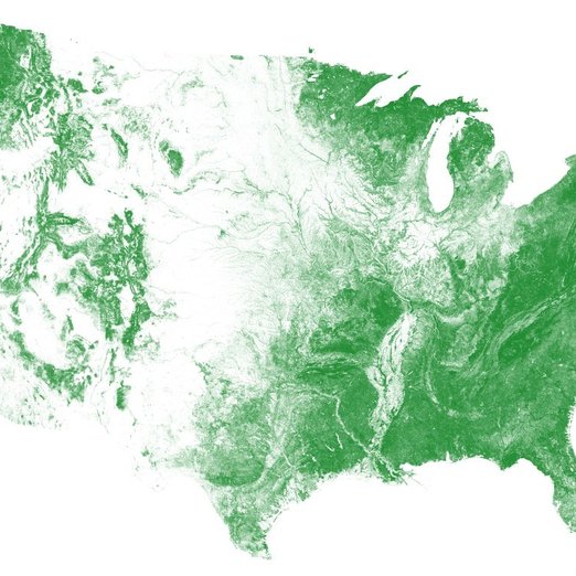 The US Tree Map seamlessly maps tree cover with an overall accuracy exceeding 96%. The data will be a continually updated to maintain a 'live' snapshot of the nation's trees.