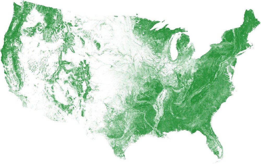 The US Tree Map seamlessly maps tree cover with an overall accuracy exceeding 96%. The data will be a continually updated to maintain a 'live' snapshot of the nation's trees.