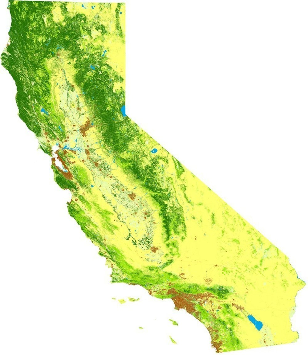 The California SpatialCover Tree Canopy dataset is derived from a 6 class land cover classification for California that maps trees, impervious surfaces, bare land, water, herbaceous cover and shrubs at over 30 times the resolution of existing state level