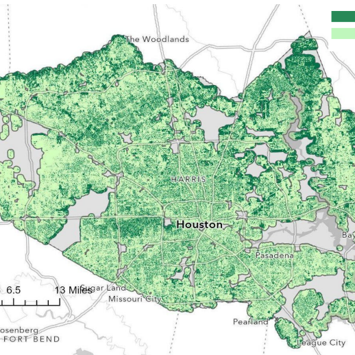 Tree canopy coverage Harris County