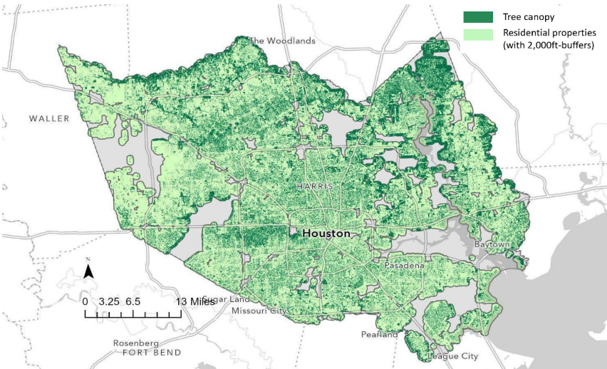 Tree canopy coverage Harris County