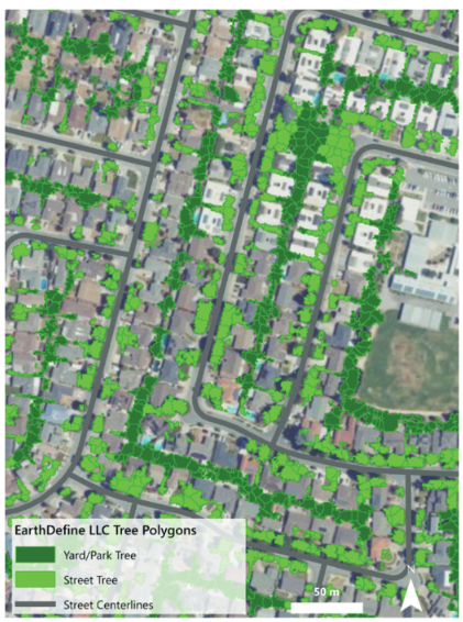 Example of how EarthDefine tree polygons were classified as street trees or park trees. Tree dataset courtesy of EarthDefine(2018). Imagery from National agriculture imagery program (NAIP) 2021–2022.