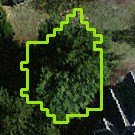 Tree Locations attribute: Tree Polygon