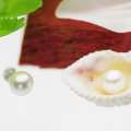 高級 淡水真珠 パール 一粒 スタッドピアス 約8.0mm ホワイトゴールドの写真