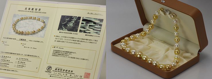 南洋白蝶真珠フォーマルネックレス 約12.0-16.55mmの写真
