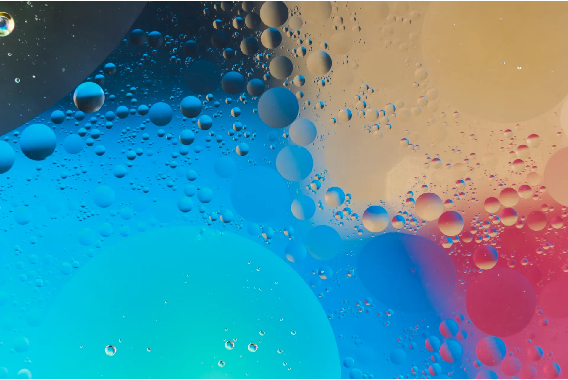 Abstract photograph of oil droplets floating in water, creating a colorful pattern of blue, pink, and yellow circles.