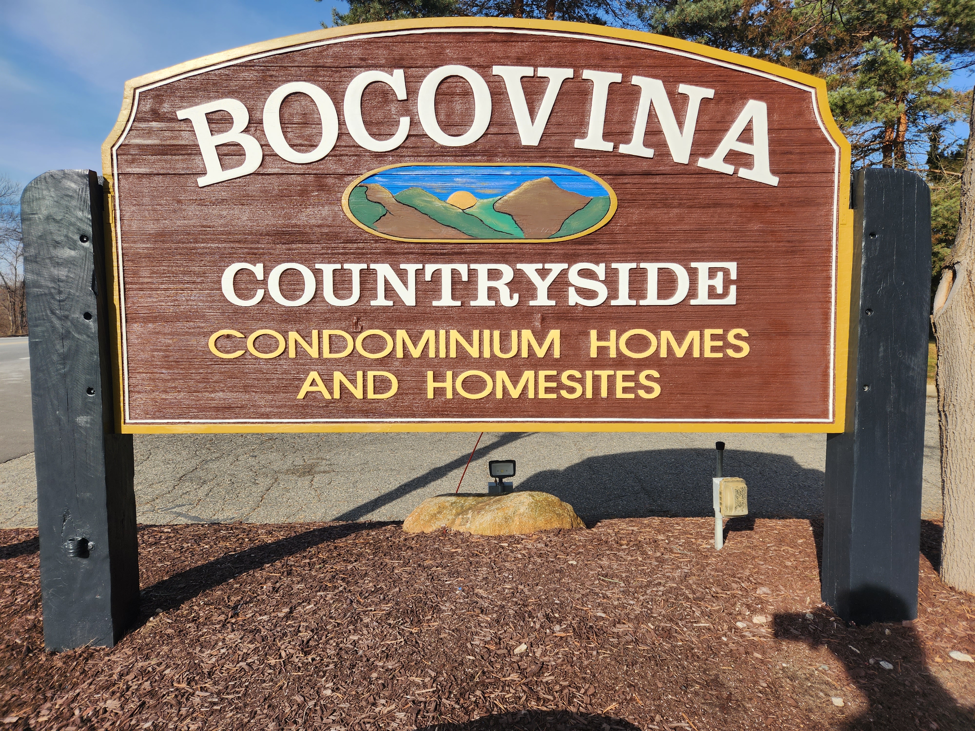 Bocovina