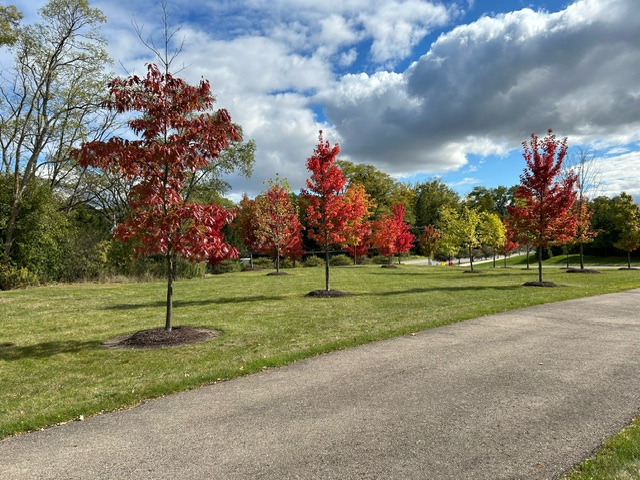 Fall Colors 2024
