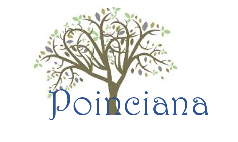 Poinciana Place Patio Homes