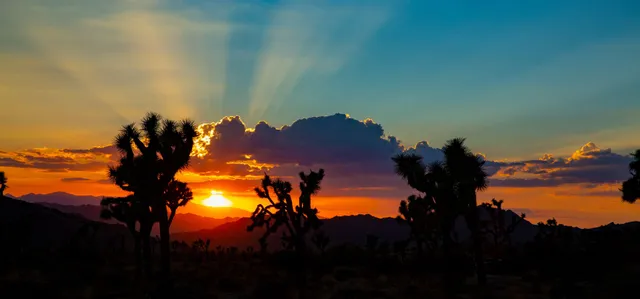 Lake Mead Ranchos