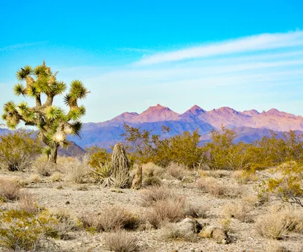 Lake Mead Ranchos