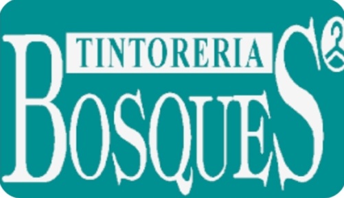 Tintoreria Bosques Sector 3, Tel: 4499124634
