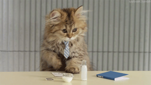 Incoterms cat