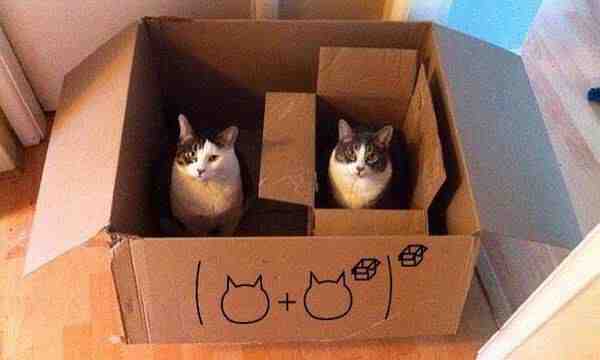 cathmatics