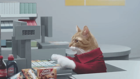 what is import duty - calculator cat