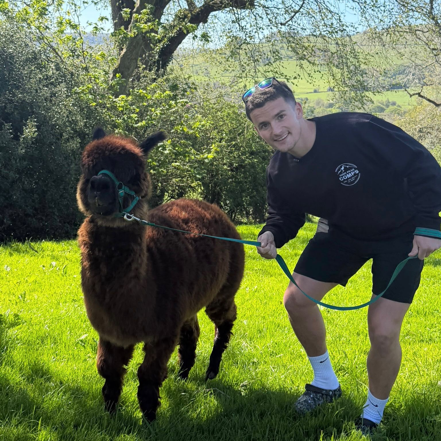 FREE ALPACA EXPERIENCE FOR 6 PEOPLE!