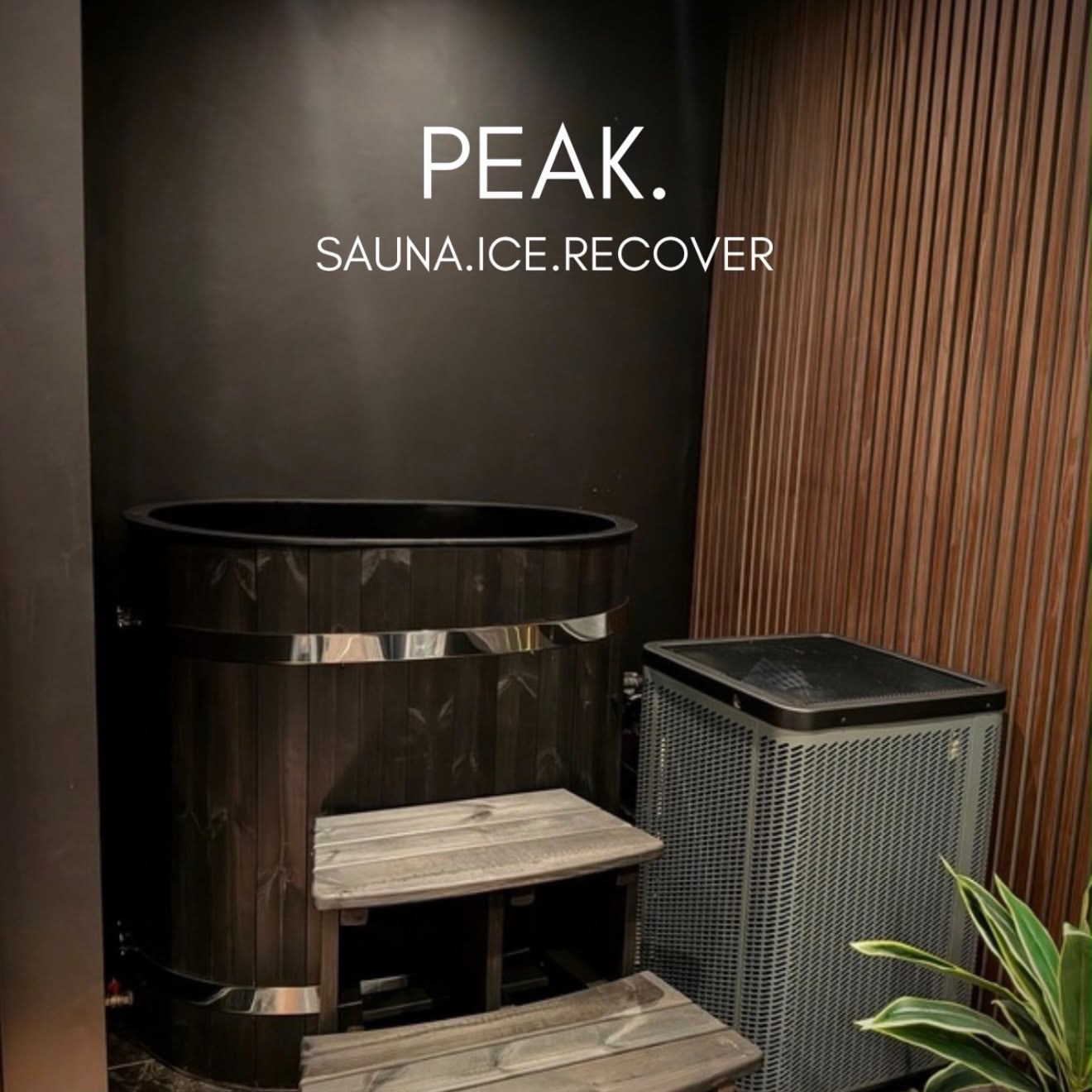 FREE - ICE BATH AND SAUNA AT PEAK POWER!