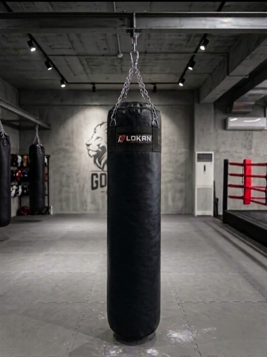 كيس ملاكمة لوكان | LOKAN Punching Bag