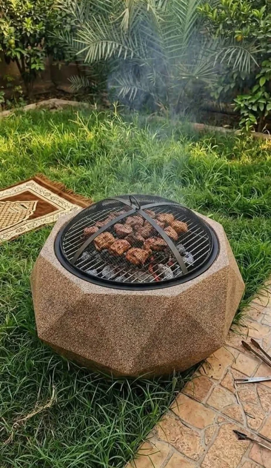 شواية فحم أوربية