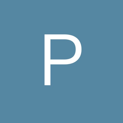 PAPAZ FINETCH SERVICES LLP