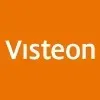 VISTEON AMAZONAS LTDA