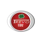 CONCESSIONARIO DE VEICULOS TREVO LTDA