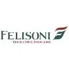 Ícone da FELISONI CONSULTORES ASSOCIADOS LTDA