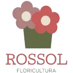 Ícone da FLORICULTURA ROSSOL LTDA