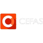 Ícone da CEFAS REPRESENTACOES LTDA