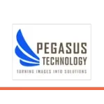 Ícone da PEGASUS TECNOLOGIA LTDA