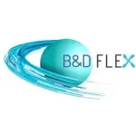 Ícone da B  D FLEX SOLUCOES EM TECNOLOGIA LTDA