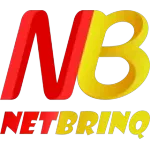 NETBRINQ