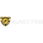 BLACK FIRE SERVICO DE FORMACAO DE VIGILANTES LTDA