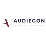 AUDIECON CONTABILIDADE LTDA