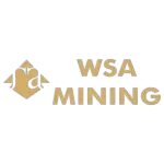 MINERACAO WSA MINING