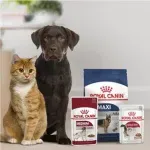 PARANIMAIS COMERCIO DE PRODUTOS PARA ANIMAIS LTDA