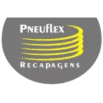 Ícone da PNEUFLEX RECAUCHUTAGEM DE PNEUS LTDA