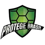 Ícone da ASSOCIACAO DE PROTECAO E BENEFICIO AO PROPRIETARIO DE VEICULOS PROTEGE BRASIL