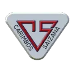 CARIMBOS SAIZANA LTDA