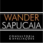 WANDER SAPUCAIA ARQUITETURA E AVALIACOES LTDA