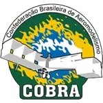 Ícone da CONFEDERACAO BRASILEIRA DE AEROMODELISMO