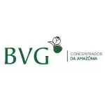 Ícone da BVG BRASIL CONCENTRADOS DA AMAZONIA LTDA