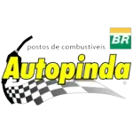 AUTOPINDA 2 ADMINISTRACAO PARTICIPACOES E SERVICOS AUTOMOTIVOS LTDA