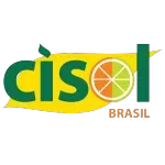 Ícone da CISOL DO BRASIL EXPORTACAO LTDA