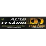 Ícone da AUTO CESARIO SERVICOS AUTOMOTIVOS LTDA