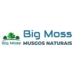 BIG MOSS MUSGOS NATURAIS