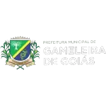 FUNDO MUNICIPAL DE EDUCACAO DE GAMELEIRA DE GOIAS