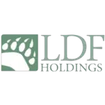 Ícone da LDF HOLDING LTDA